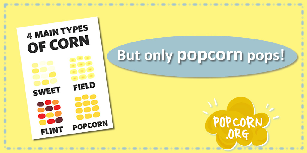 How high can popcorn pop